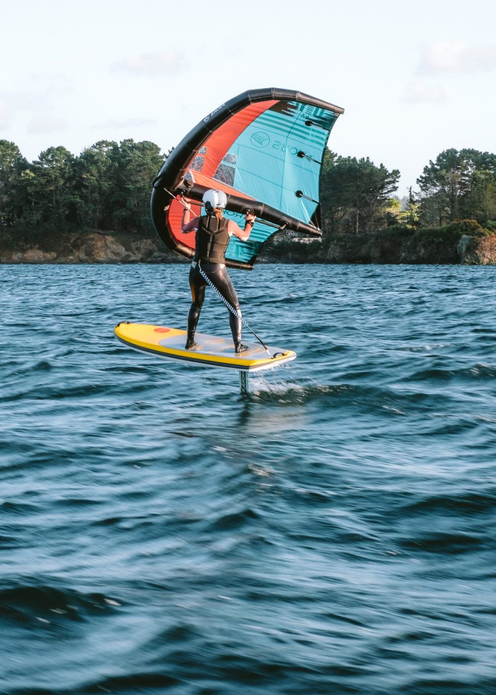 Notiwing_20250921_©GregMignard_26